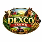 chatgpt image feb 8, 2026, 09 57 22 pm